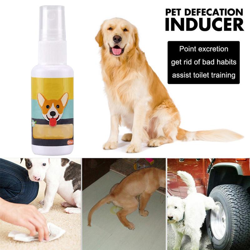 1PCS Dog Potty Train Spray Por - đánh giá và giá Travel Accessories Dropshipping