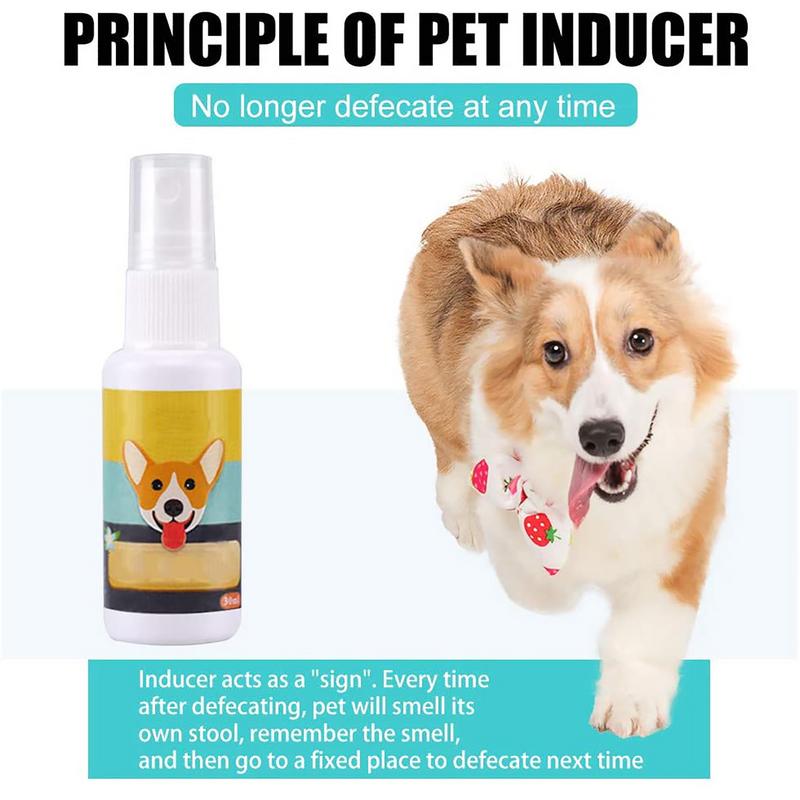 1PCS Dog Potty Train Spray Por - đánh giá và giá Travel Accessories Dropshipping