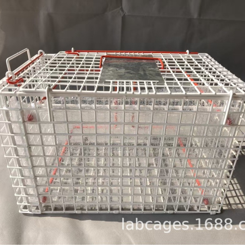 Pet Restraint Cage Veterinary  - đánh giá và giá Travel Accessories Dropshipping