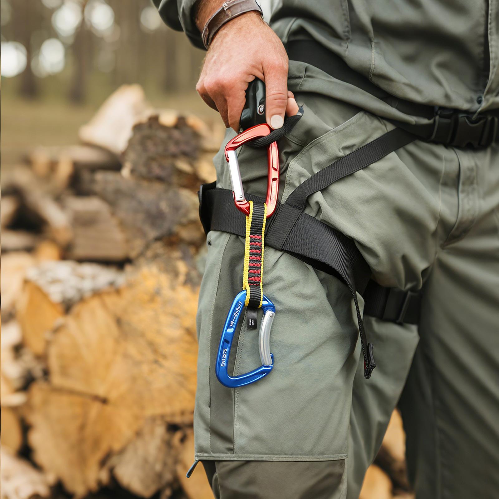 Quick Draw Carabiners Carabine - đánh giá và giá Travel Accessories Drawing