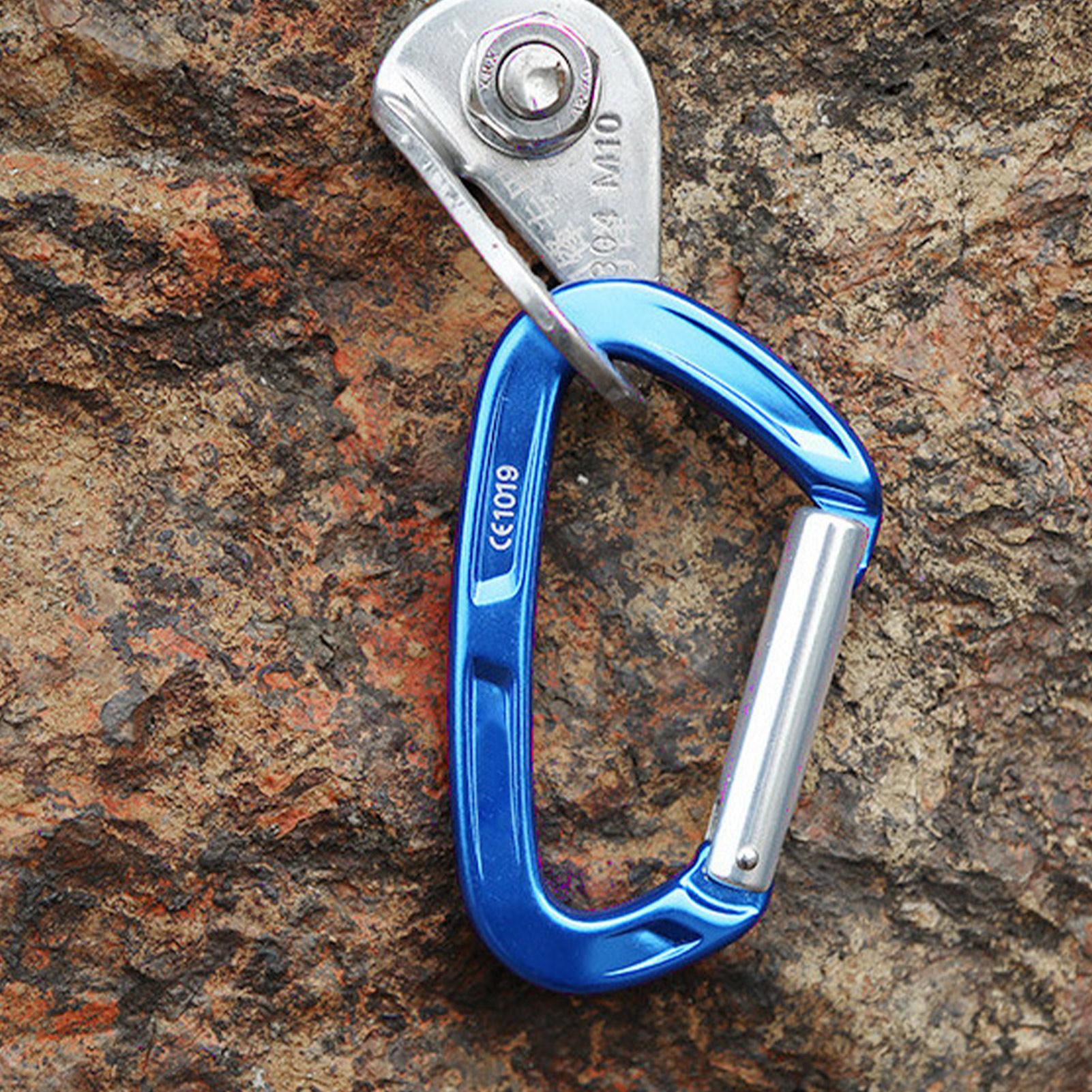 Quick Draw Carabiners Carabine - đánh giá và giá Travel Accessories Drawing